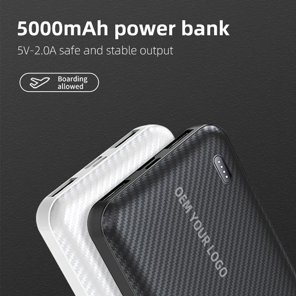 Dual USB Ports Portable Charger Battery Backup Power Bank